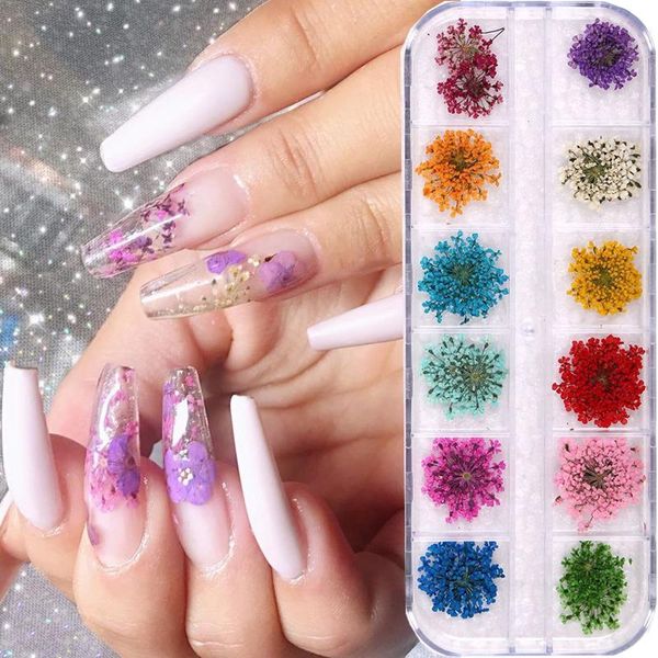 nail art decorations 3d dry flowers decoration 12 patterns diy natural various design tips manicure tools with box, Silver;gold
nail art decorations 3d dry flowers decoration 12 patterns diy natural various design tips manicure tools with box, Silver;gold