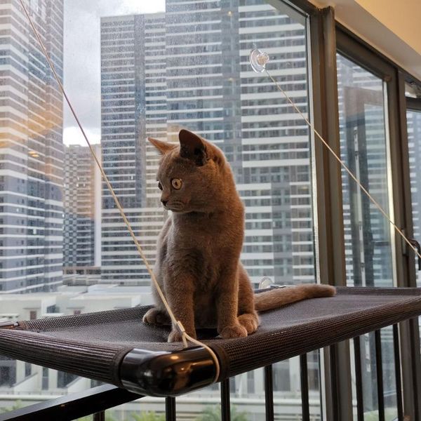 cat beds & furniture pet supplies hammock balcony climbing frame screw sucker litter removable and washable bed
cat beds & furniture pet supplies hammock balcony climbing frame screw sucker litter removable and washable bed