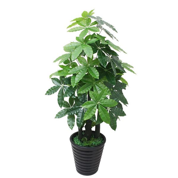 decorative flowers & wreaths artificial pachira potted indoor decoration flower tree lucky plastic plant bonsai decor
decorative flowers & wreaths artificial pachira potted indoor decoration flower tree lucky plastic plant bonsai decor