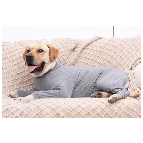 dog apparel dogs home clothes four-legged for small medium chihuahua bulldogs puppy costume jumpsuit pet supplies
dog apparel dogs home clothes four-legged for small medium chihuahua bulldogs puppy costume jumpsuit pet supplies