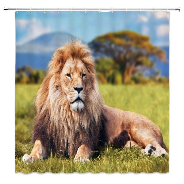 lion shower curtain ferocious african wildlife animals bathroom decor background waterproof polyester fabric bath accessories
lion shower curtain ferocious african wildlife animals bathroom decor background waterproof polyester fabric bath accessories