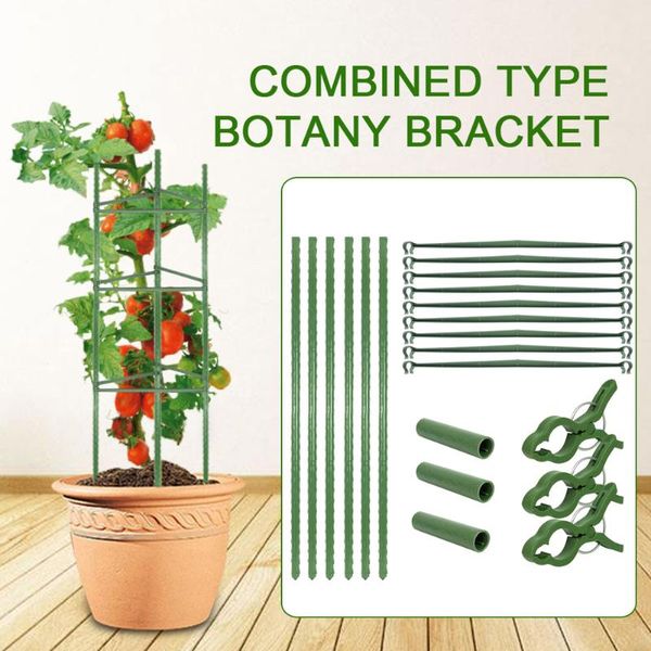 decorative flowers & wreaths tomatoes cage assembled plant vegetable trellis support stakes for indoor pot outdoor use garden sub sale
decorative flowers & wreaths tomatoes cage assembled plant vegetable trellis support stakes for indoor pot outdoor use garden sub sale