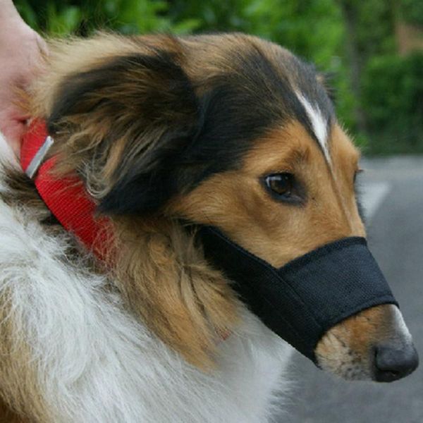 adjustable pet dog muzzle breathable anti bark biting chew dogs muzzles training respirator for small medium big mouth mask apparel
adjustable pet dog muzzle breathable anti bark biting chew dogs muzzles training respirator for small medium big mouth mask apparel