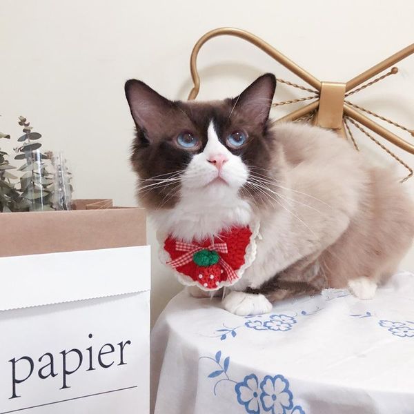 cat collars & leads sweet strawberry knited collar woolen dog pet bandana crocheted adjustable kitty necklace manual neck scarf for small ca
cat collars & leads sweet strawberry knited collar woolen dog pet bandana crocheted adjustable kitty necklace manual neck scarf for small ca