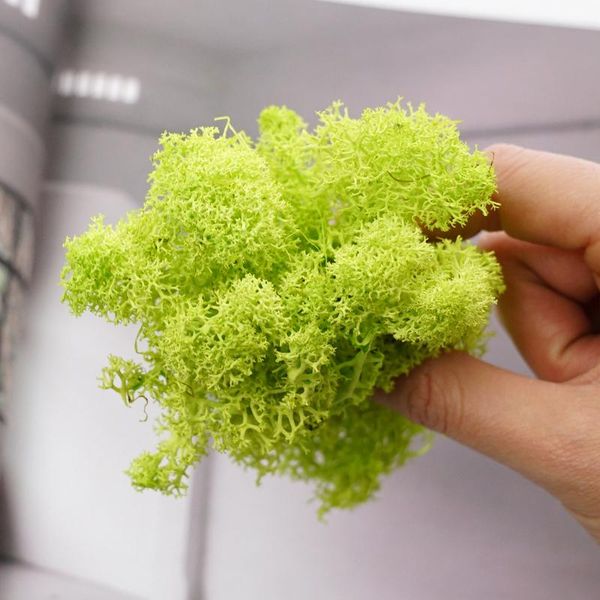 decorative flowers & wreaths impurities green moss 10 grams of immortal flower plant wall really plants micro landscape artificial grass
decorative flowers & wreaths impurities green moss 10 grams of immortal flower plant wall really plants micro landscape artificial grass