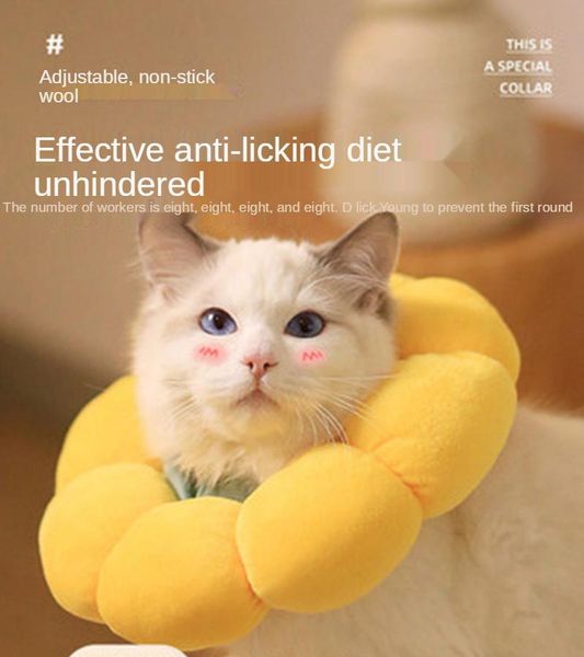 cat collars & leads glitter adjustable pet collar elizabeth circle dog sterilization using super soft anti-bite protection cover
cat collars & leads glitter adjustable pet collar elizabeth circle dog sterilization using super soft anti-bite protection cover