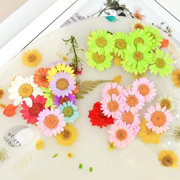 decorative flowers & wreaths 1 bag of dried uv resin filler jewelry making plant decoration chrysanthemum natural embossing crafts mold
decorative flowers & wreaths 1 bag of dried uv resin filler jewelry making plant decoration chrysanthemum natural embossing crafts mold