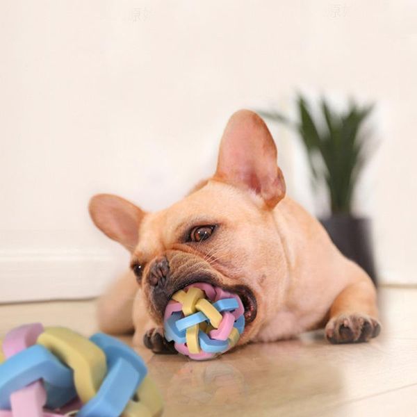 cat toys macaron color rubber pet chew and squeaky ball for puppy dog training playing molar interactive supplies
cat toys macaron color rubber pet chew and squeaky ball for puppy dog training playing molar interactive supplies
