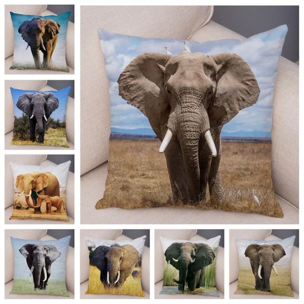 cushion/decorative pillow wild animal case decor africa elephant pattern print pillowcase super soft plush cushion cover for car sofa home 4
cushion/decorative pillow wild animal case decor africa elephant pattern print pillowcase super soft plush cushion cover for car sofa home 4
