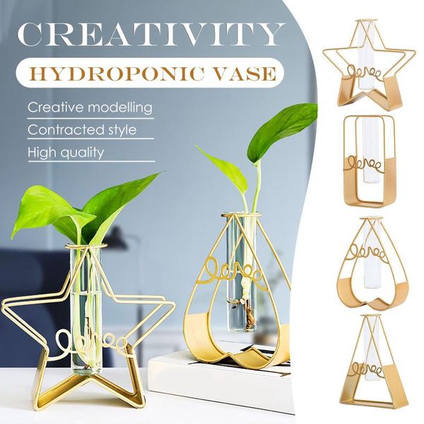 geometric ironwork shape vase small with hydroponic plants for decoration flower basket nordic style d4 vases
geometric ironwork shape vase small with hydroponic plants for decoration flower basket nordic style d4 vases
