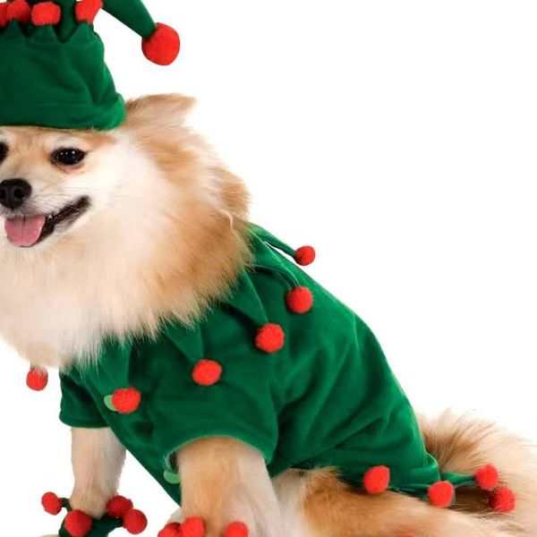 dog apparel clothes for christmas fairy costumes cat role play can be worn throughout the season latest fashion cute special
dog apparel clothes for christmas fairy costumes cat role play can be worn throughout the season latest fashion cute special