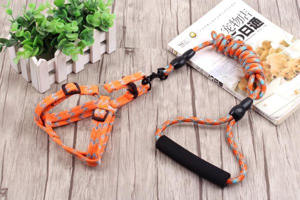 dog collars & leashes 60 pcs/lot leash collar small medium large dogs nylon walking outdoor security training harness
dog collars & leashes 60 pcs/lot leash collar small medium large dogs nylon walking outdoor security training harness