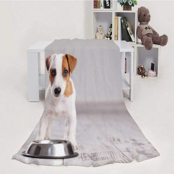 Puppy Eating Foot Morocco,Blanket Throw Weight Super Soft Cozy Luxury Bed Blanket Alertness 50''x60''(WxL)
Puppy Eating Foot Morocco,Blanket Throw Weight Super Soft Cozy Luxury Bed Blanket Alertness 50''x60''(WxL)