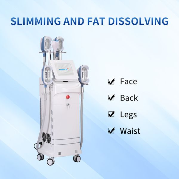 est cryo weight loss machine cyrolipolysis /cryolipo slimming machine