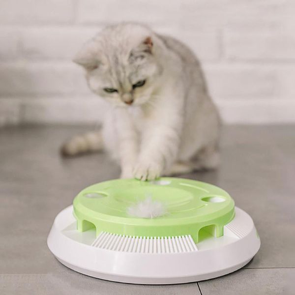 cat toys electric pet toy interactive teasing stick crazy game play board feather puzzle
cat toys electric pet toy interactive teasing stick crazy game play board feather puzzle