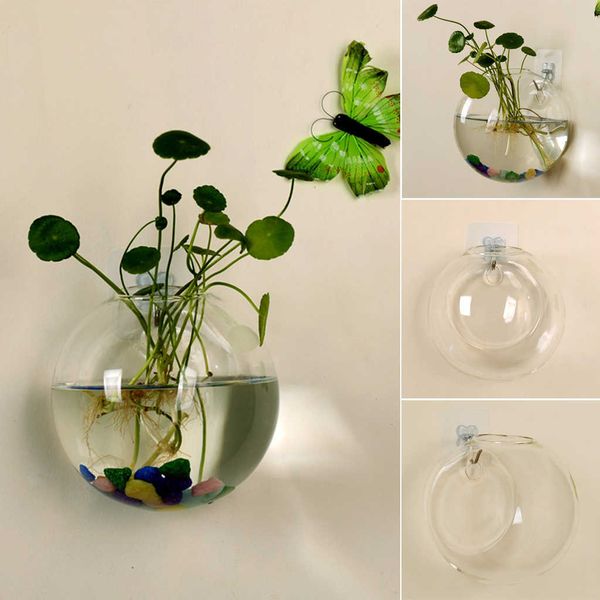 vases transparent glass vase wall hanging hydroponic aquarium flowerpot diameter 8 10cm j0603
vases transparent glass vase wall hanging hydroponic aquarium flowerpot diameter 8 10cm j0603