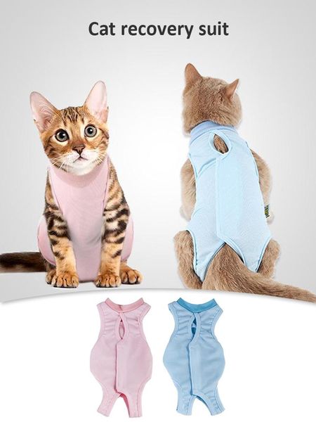cat costumes recovery suit professional breathable security clothes pet kitten abdominal wound skin diseases vest t-shirt
cat costumes recovery suit professional breathable security clothes pet kitten abdominal wound skin diseases vest t-shirt
