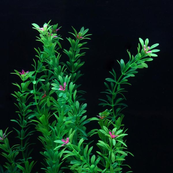 decorations aapet 1pc pe simulation aquatic plant aquarium decorative accessories artificial decorating ornament for fish tank
decorations aapet 1pc pe simulation aquatic plant aquarium decorative accessories artificial decorating ornament for fish tank
