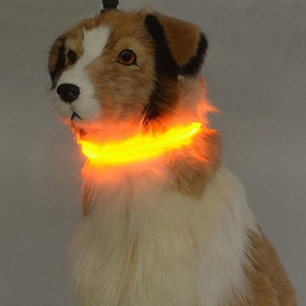dog collars & leashes led pet collar anti-lost/avoid car accident for dogs puppies leads supplies productse
dog collars & leashes led pet collar anti-lost/avoid car accident for dogs puppies leads supplies productse