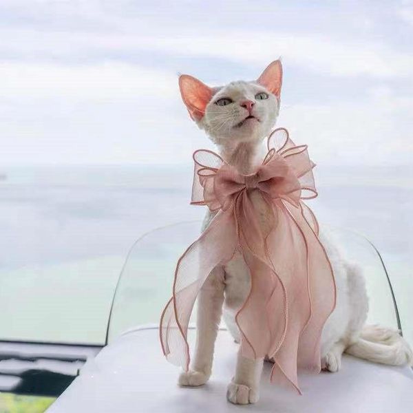 cat costumes bowknot ornament muppet long-haired saliva towel bib collar pograph dog headdress assessoires kitten accessories
cat costumes bowknot ornament muppet long-haired saliva towel bib collar pograph dog headdress assessoires kitten accessories