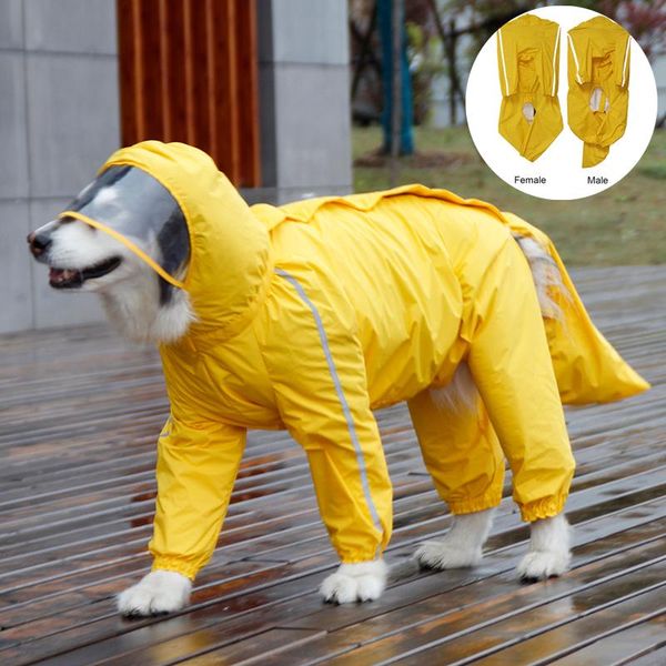 dog apparel male and female different styles raincoat for large medium dogs with visible hat removable tail bag adjustable coat
dog apparel male and female different styles raincoat for large medium dogs with visible hat removable tail bag adjustable coat