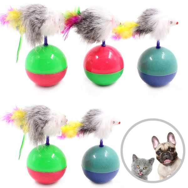 5pcs creative funny tumbler mouse toys for cats kitties pets accessories cat toy training kitten pet supplies
5pcs creative funny tumbler mouse toys for cats kitties pets accessories cat toy training kitten pet supplies