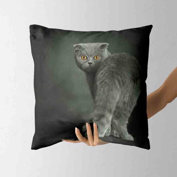 pillow case british shorthair pillowcase cute hug home decoration design set cushion cover sofa bedroom car standard size
pillow case british shorthair pillowcase cute hug home decoration design set cushion cover sofa bedroom car standard size