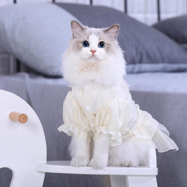 cat costumes summer sweet clothes organza puff sleeve lace beautiful princess dress suit for cats kitten cute skirt pet accessories
cat costumes summer sweet clothes organza puff sleeve lace beautiful princess dress suit for cats kitten cute skirt pet accessories