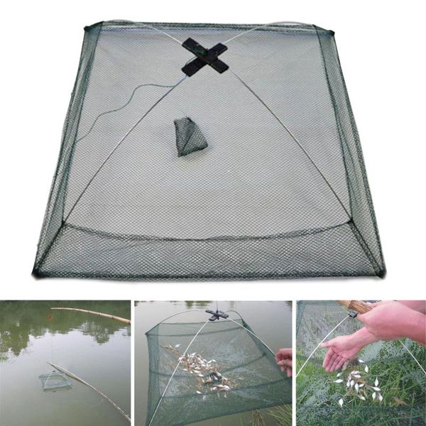 fishing accessories 60cm folded net small fish trap shrimp minnow crab baits cast mesh cage equipment tools
fishing accessories 60cm folded net small fish trap shrimp minnow crab baits cast mesh cage equipment tools