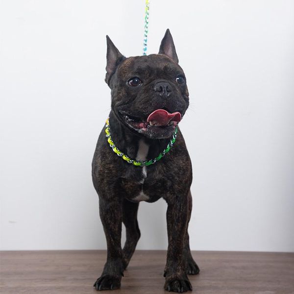 explosion proof small-large dog leash p chain collars no clip hair, anti-bite rainbow accessories & leashes
explosion proof small-large dog leash p chain collars no clip hair, anti-bite rainbow accessories & leashes