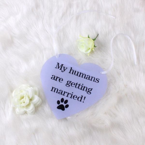 dog collars & leashes pet wedding hanging plate tag delicate anniversary pendant for accessories
dog collars & leashes pet wedding hanging plate tag delicate anniversary pendant for accessories