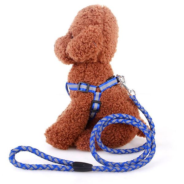 dog collars & leashes pet collar harness leash soft walking lead and durabletraction training cats dogs
dog collars & leashes pet collar harness leash soft walking lead and durabletraction training cats dogs
