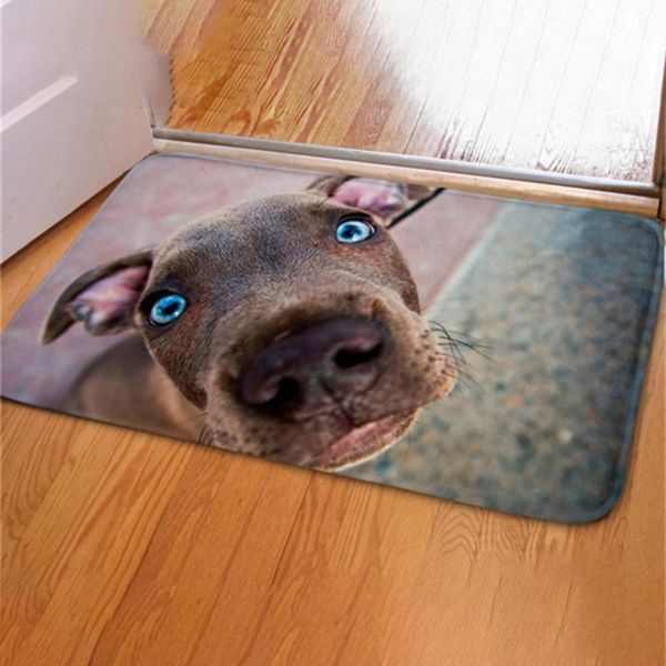 anti-slip doormat cartoon velvet box cat and dog interior flannel carpet decoration entrance tape home de carpets
anti-slip doormat cartoon velvet box cat and dog interior flannel carpet decoration entrance tape home de carpets