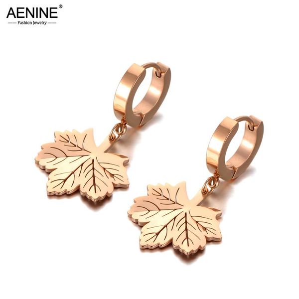 hoop & huggie aenine trendy titanium stainless steel earrings for women girls office style rose gold summer ae20093, Golden;silver
hoop & huggie aenine trendy titanium stainless steel earrings for women girls office style rose gold summer ae20093, Golden;silver