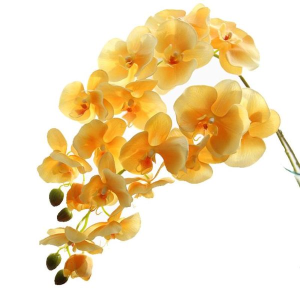 decorative flowers & wreaths extra large wedding holiday flower phalaenopsis feels glue moisturizing artificial home decoration simulation p
decorative flowers & wreaths extra large wedding holiday flower phalaenopsis feels glue moisturizing artificial home decoration simulation p
