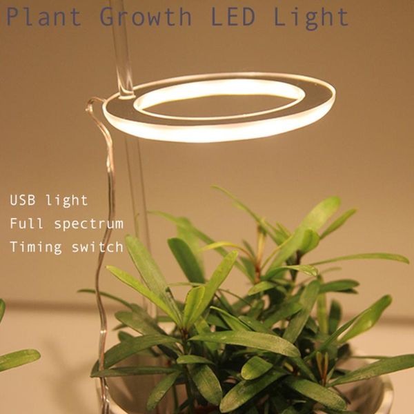 grow lights 5v led usb angel ring plant light for succulent full spectrum phyto lamp sunlike indoor flower greenhouse seedling
grow lights 5v led usb angel ring plant light for succulent full spectrum phyto lamp sunlike indoor flower greenhouse seedling