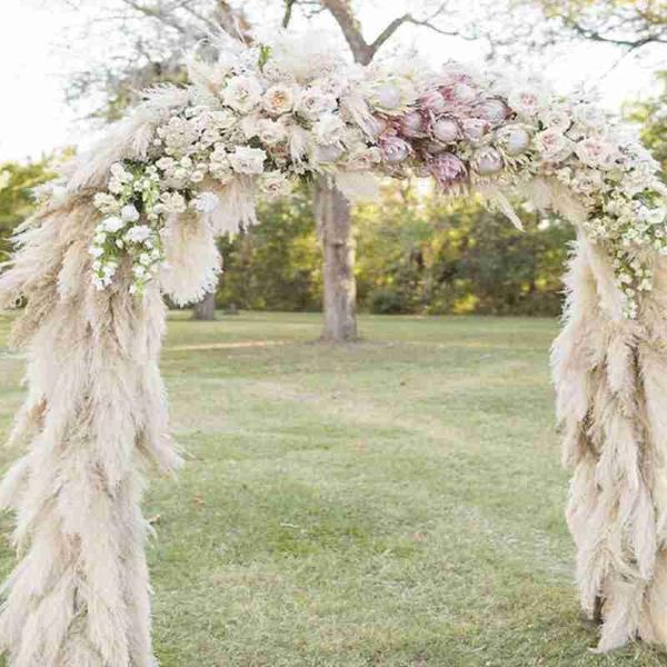 decorative flowers & wreaths natural dried pampas grass reed bunch plant wedding bouquet home decor
decorative flowers & wreaths natural dried pampas grass reed bunch plant wedding bouquet home decor