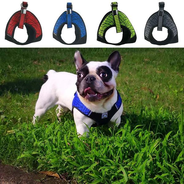 dog collars & leashes adjustable vest harness for small pet breathable nylon no pull leash supplies cat collar accessories
dog collars & leashes adjustable vest harness for small pet breathable nylon no pull leash supplies cat collar accessories