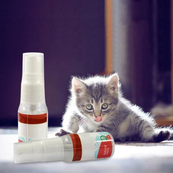 cat toys 2021 natural catnip liquid spray boredom solution to effectively excite and entertain cats
cat toys 2021 natural catnip liquid spray boredom solution to effectively excite and entertain cats