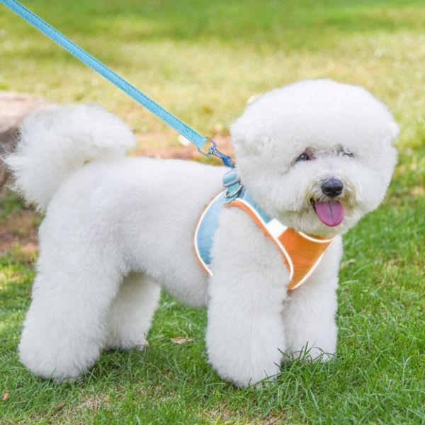 dog collars & leashes pet chest harness reflective breathable leash for small medium outdoor sport training walking safety vest cat products
dog collars & leashes pet chest harness reflective breathable leash for small medium outdoor sport training walking safety vest cat products