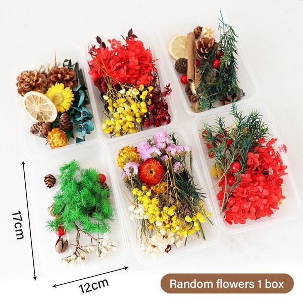 decorative flowers & wreaths real dried for diy art craft home decor epoxy resin candle making jewellery party dry press
decorative flowers & wreaths real dried for diy art craft home decor epoxy resin candle making jewellery party dry press