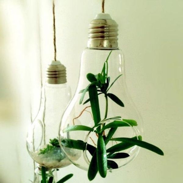 vases 2021 glass bulb lamp shape flower water plant hanging vase hydroponic container pot home office wedding decor drop
vases 2021 glass bulb lamp shape flower water plant hanging vase hydroponic container pot home office wedding decor drop