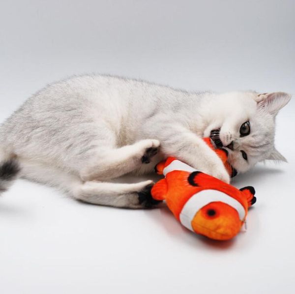 cat toys plush toy fish and simulation catnip pet 3d color swing interactive dancing
cat toys plush toy fish and simulation catnip pet 3d color swing interactive dancing