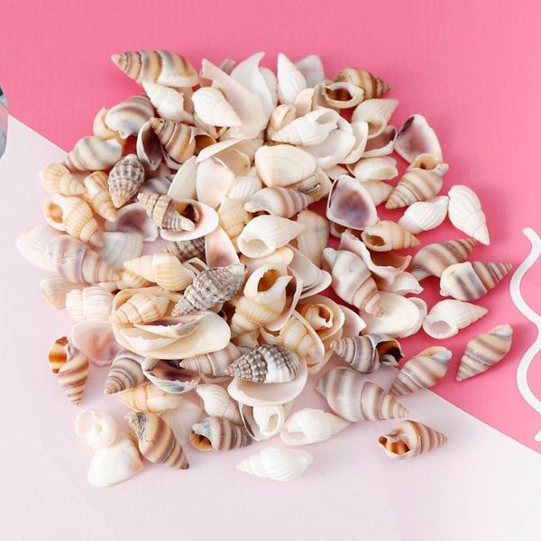 novelty items 1 box pattern nature beach fashion shells sea for diy caft decor jewelery craft accessories holes shell charm nail
novelty items 1 box pattern nature beach fashion shells sea for diy caft decor jewelery craft accessories holes shell charm nail