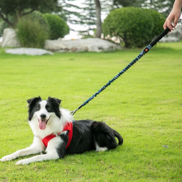 dog collars & leashes traction rope chain leash running for medium dogs coisas para cachorro pet tractions oo50xq
dog collars & leashes traction rope chain leash running for medium dogs coisas para cachorro pet tractions oo50xq