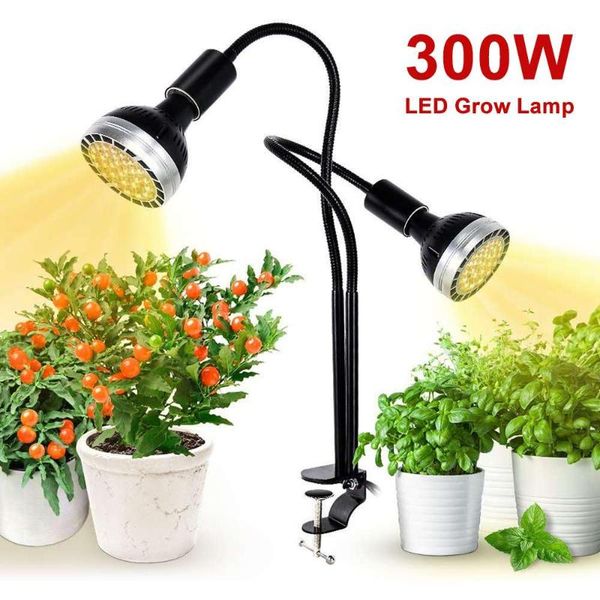 grow lights led light bulbs full spectrum growing lamp dimmable phyto for plants flower greenhouse tent
grow lights led light bulbs full spectrum growing lamp dimmable phyto for plants flower greenhouse tent