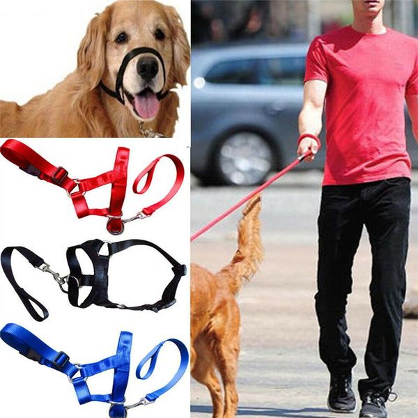 solid color training puppy head collar halter pet mouth traction set dog muzzle strap nylon leashes collars &
solid color training puppy head collar halter pet mouth traction set dog muzzle strap nylon leashes collars &