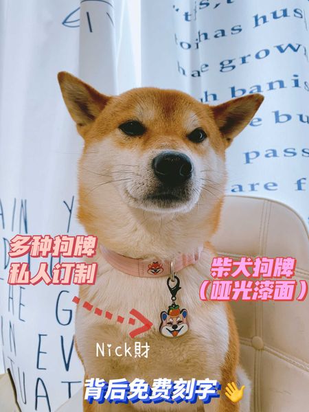 nick caiwang red chai dog fadou keji pet cat anti loss laser lettering dog tag collar pendant
nick caiwang red chai dog fadou keji pet cat anti loss laser lettering dog tag collar pendant
