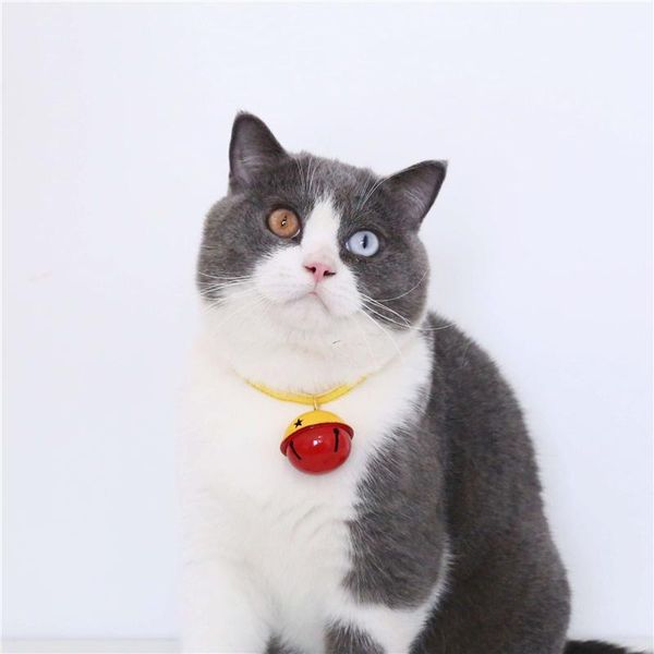 cat collars & leads tjpbf big bells necklace lovely two-color stitching collar for pets fashion adjustable cats puppy supplies accessories
cat collars & leads tjpbf big bells necklace lovely two-color stitching collar for pets fashion adjustable cats puppy supplies accessories