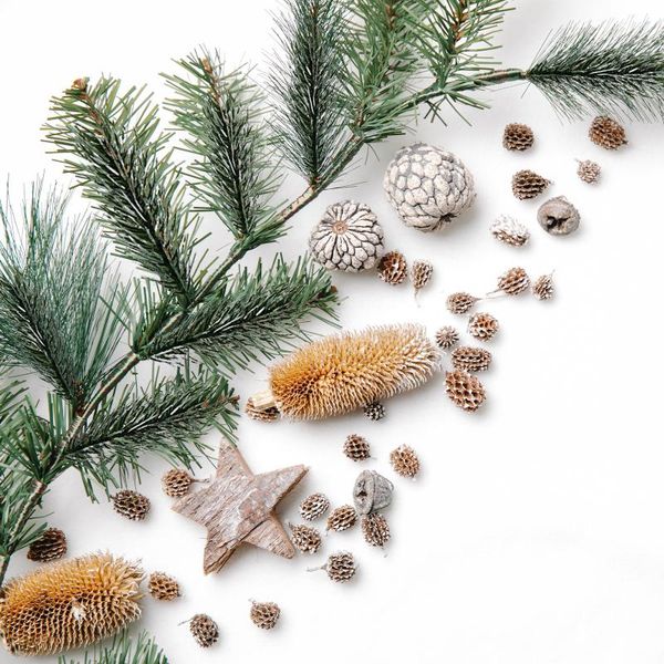 decorative flowers & wreaths pine needles accessories diy cuttings garland 4.5cm holes green bottom 4.5cm-12cm suitable for holiday indoor p
decorative flowers & wreaths pine needles accessories diy cuttings garland 4.5cm holes green bottom 4.5cm-12cm suitable for holiday indoor p